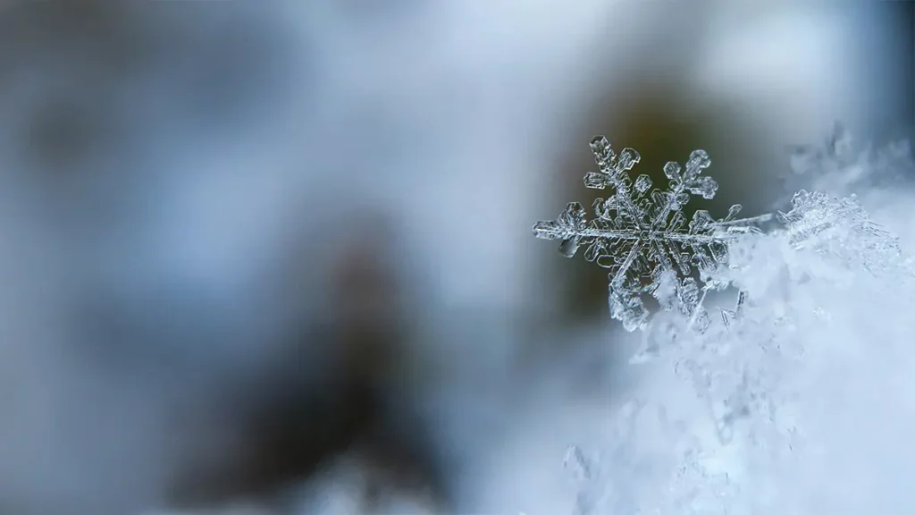 Trinity Weather Updates Hero 1